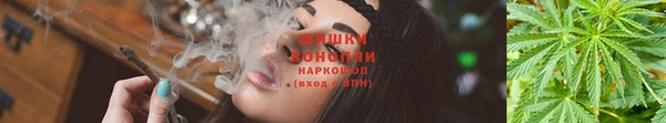гашишное масло Алексеевка