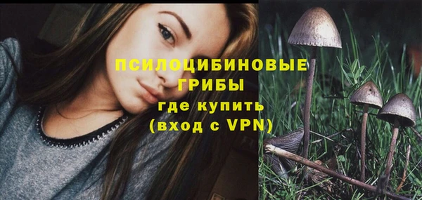 первитин Алексин